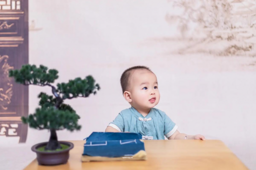 呼伦贝尔二岁宝宝发型 呼伦贝尔二岁宝宝发型